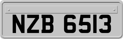 NZB6513
