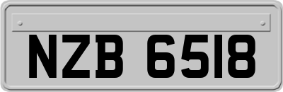 NZB6518