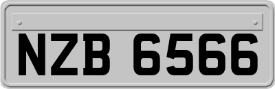 NZB6566