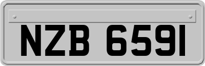 NZB6591