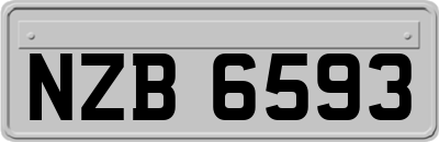 NZB6593
