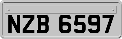 NZB6597