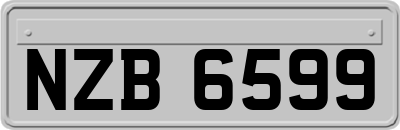 NZB6599
