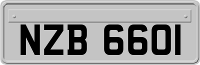 NZB6601