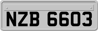 NZB6603
