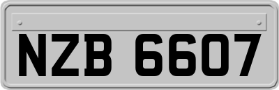 NZB6607