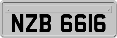 NZB6616