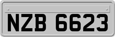 NZB6623