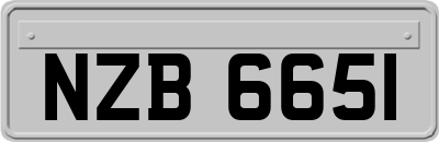 NZB6651