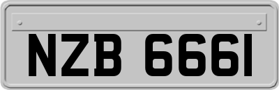 NZB6661