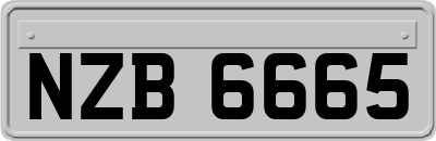 NZB6665