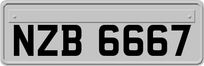 NZB6667