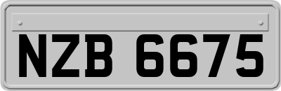 NZB6675