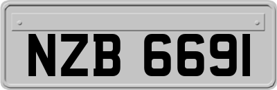 NZB6691