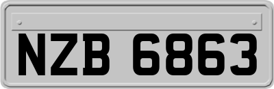 NZB6863
