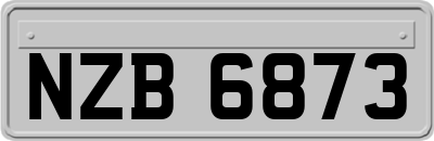 NZB6873