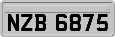 NZB6875
