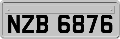 NZB6876