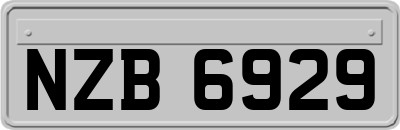 NZB6929