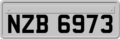 NZB6973