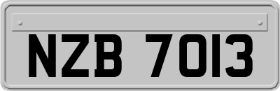 NZB7013