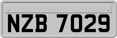 NZB7029
