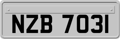 NZB7031