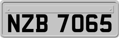 NZB7065