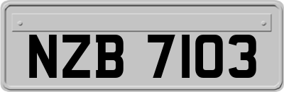 NZB7103