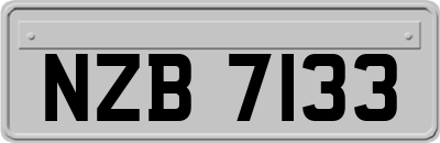 NZB7133