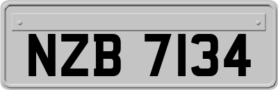 NZB7134