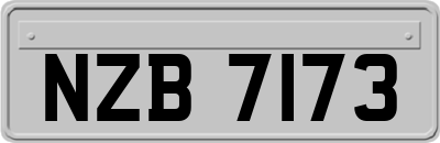 NZB7173