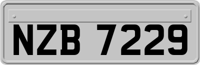 NZB7229