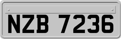 NZB7236