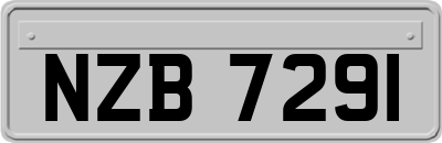 NZB7291