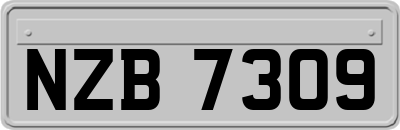 NZB7309