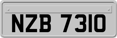 NZB7310