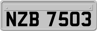 NZB7503
