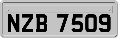 NZB7509