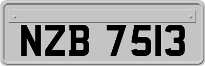 NZB7513