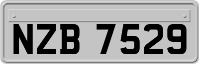 NZB7529