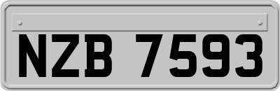 NZB7593