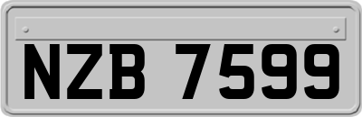 NZB7599