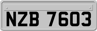 NZB7603