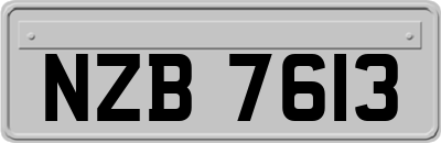 NZB7613