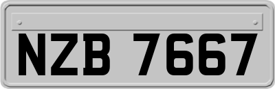 NZB7667