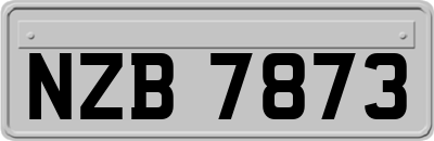 NZB7873
