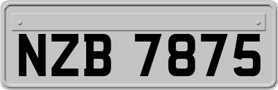 NZB7875