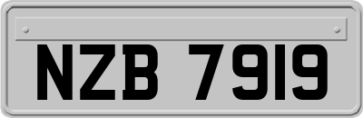 NZB7919