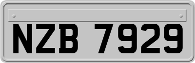 NZB7929